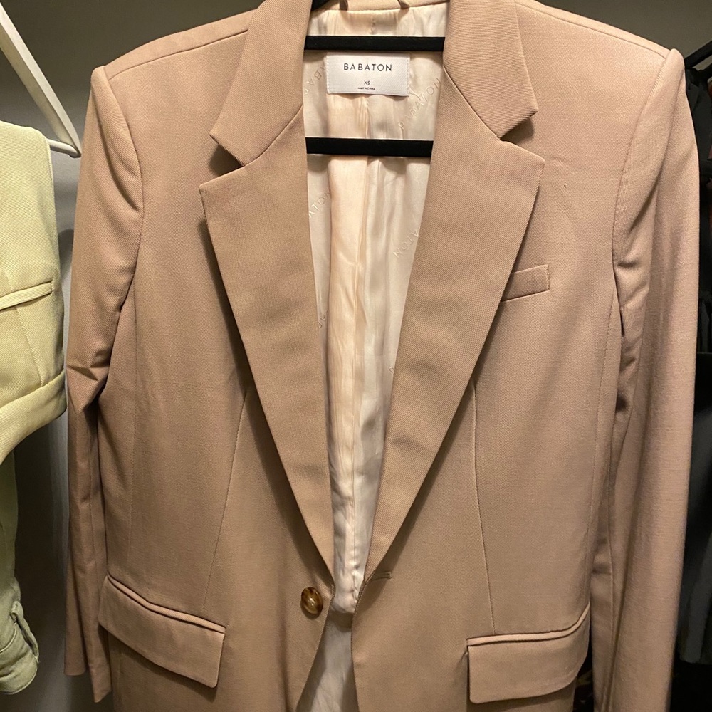 Aritzia- Babaton Agency blazer